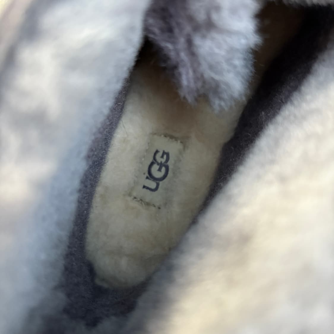 Ugg 어그 리본 스웨이드 부츠 (240) 상품이미지6