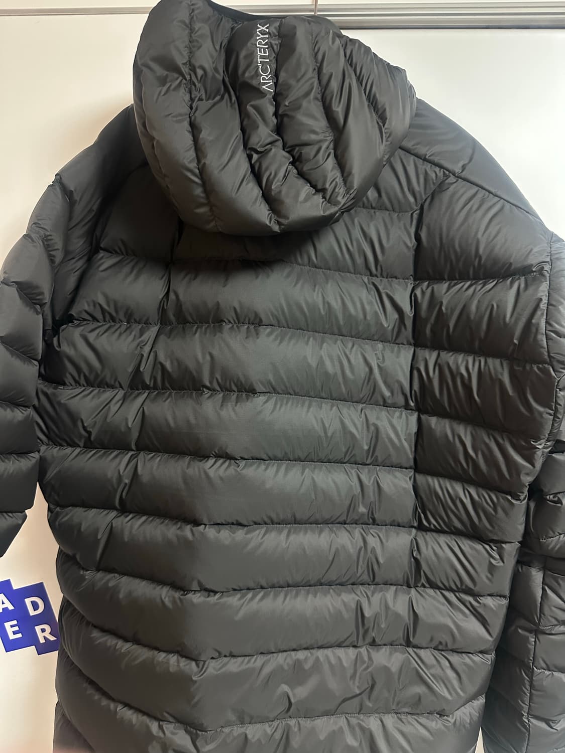 아크테릭스 세륨 후디 L 상품이미지5