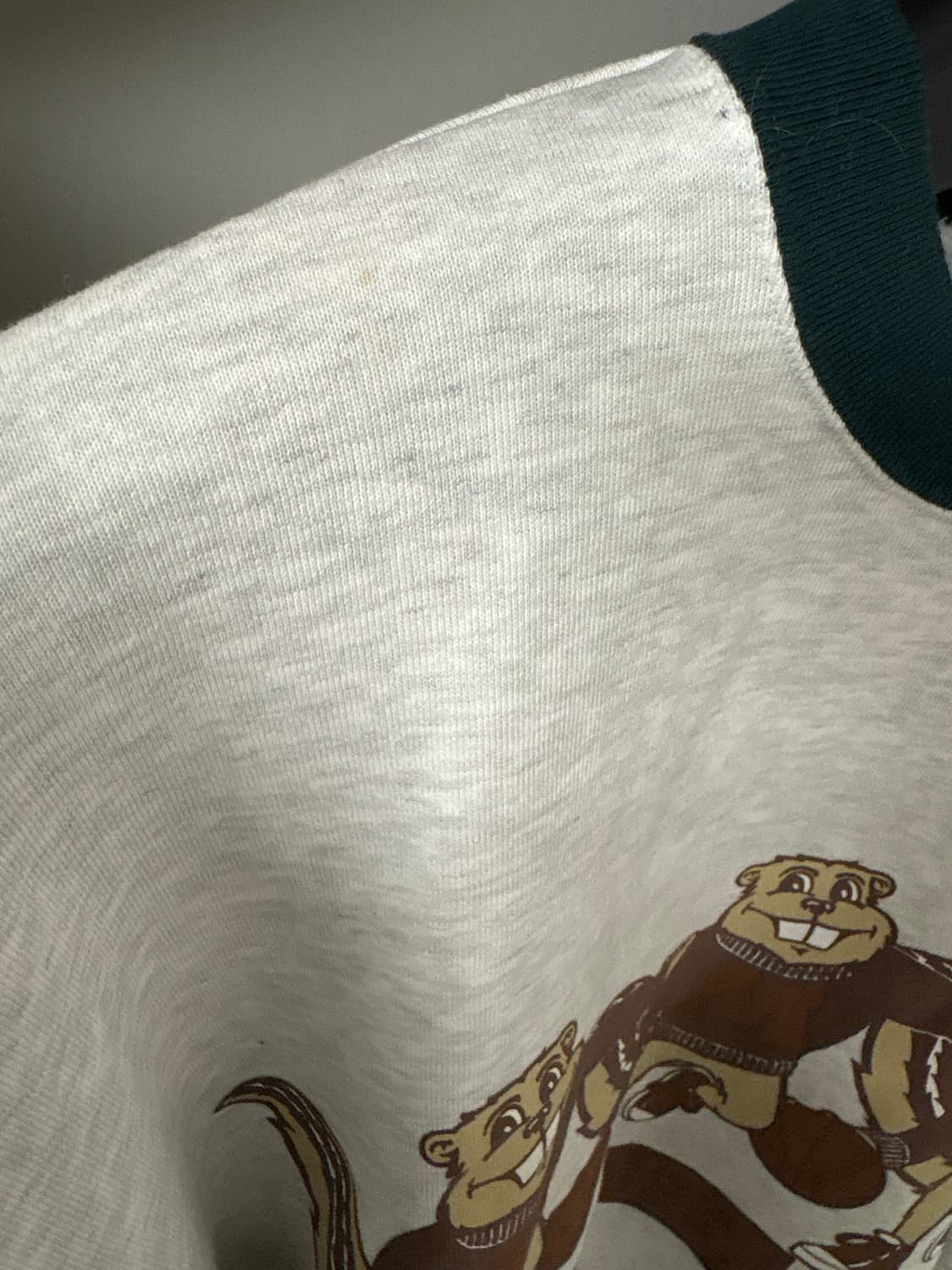 Ncaa cotton brushed sweatshirt M 상품이미지5
