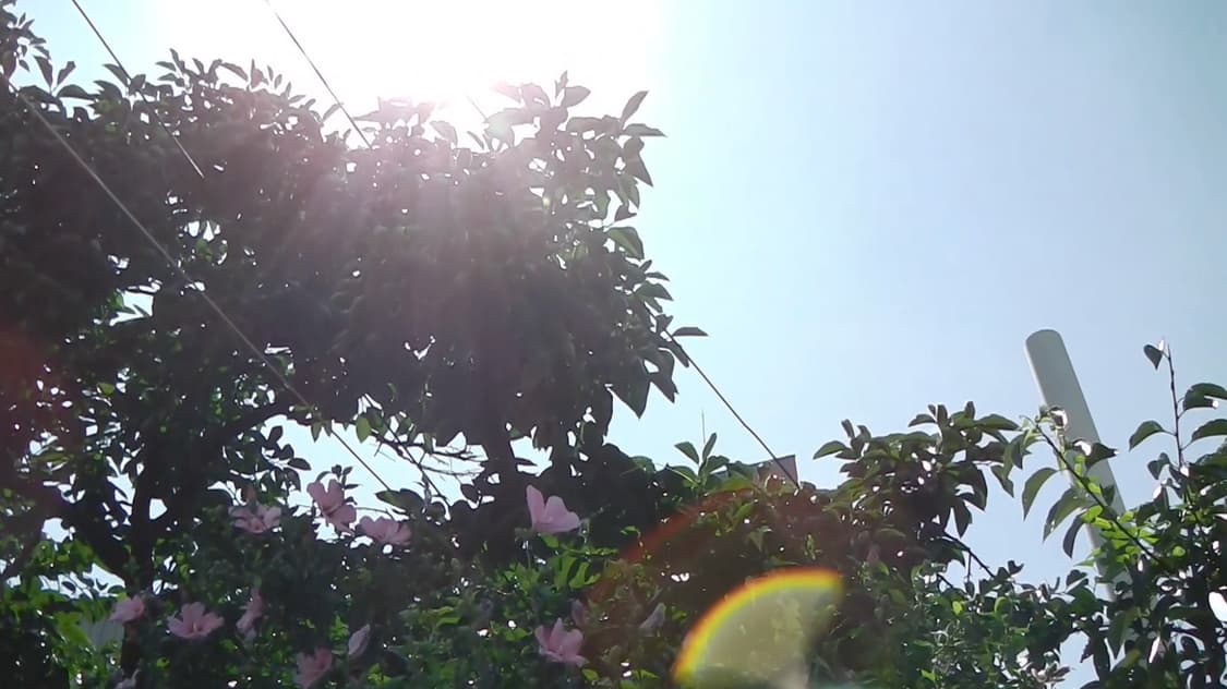 빈티지 캠코더 파나소닉 hx dc2 (영상캡쳐본 0) 상품이미지3