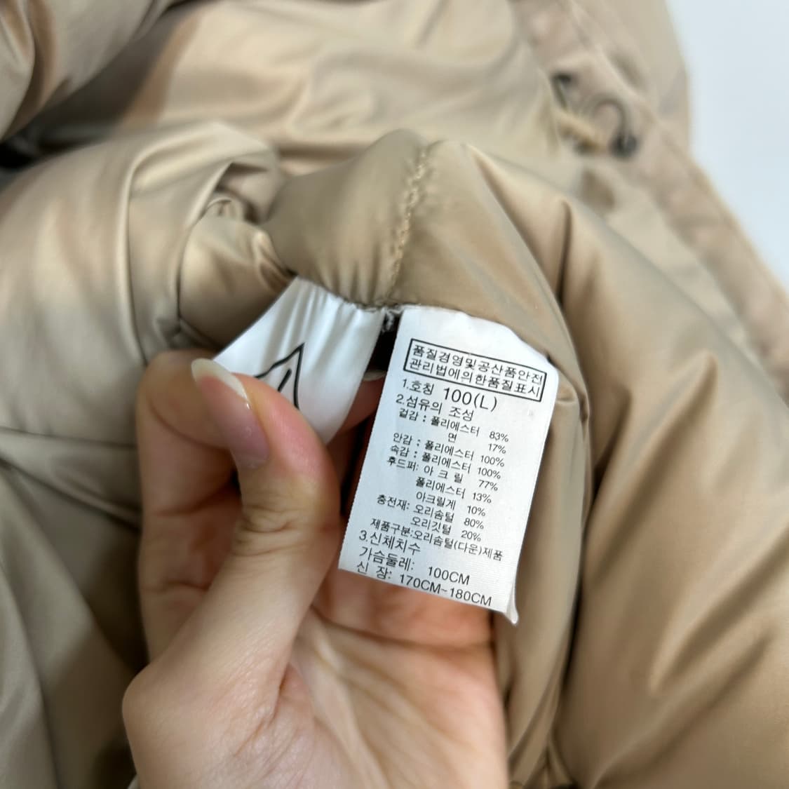 노스페이스 남성 오리털 패딩 100   상품이미지4