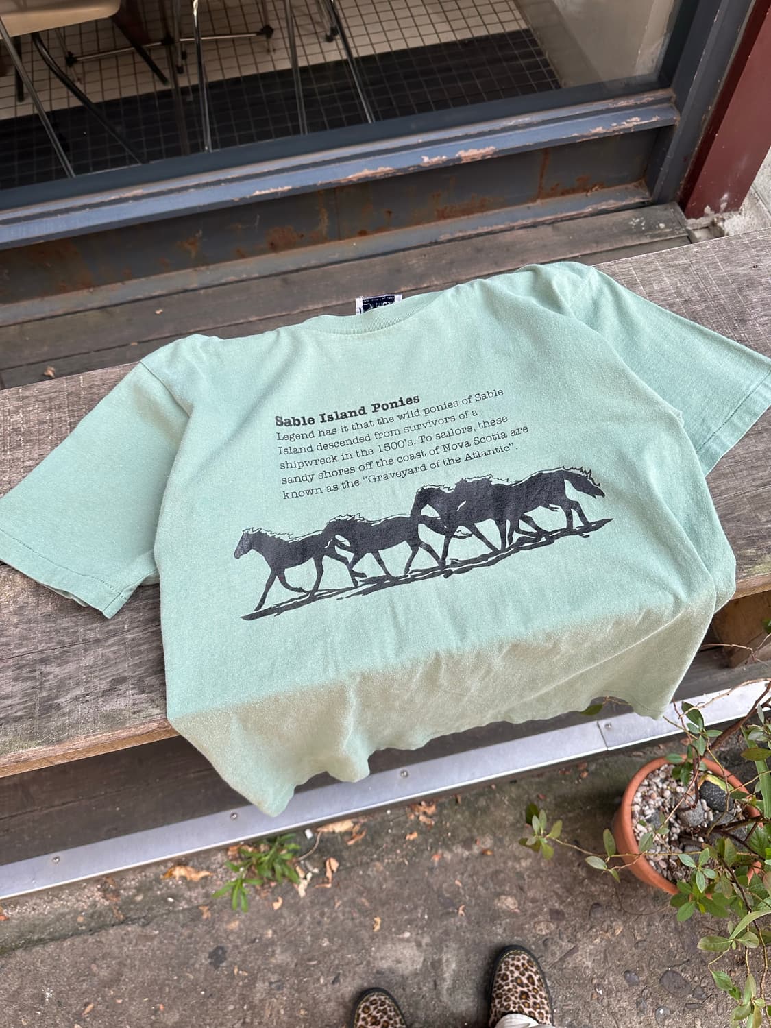 90’s Canada Gym master horse logo T 상품이미지1