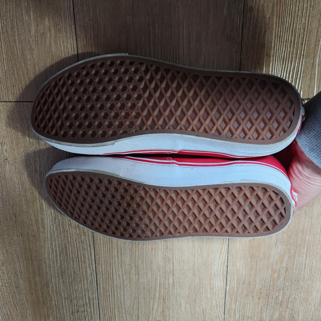 반스 어센틱 레드 260 상품이미지4