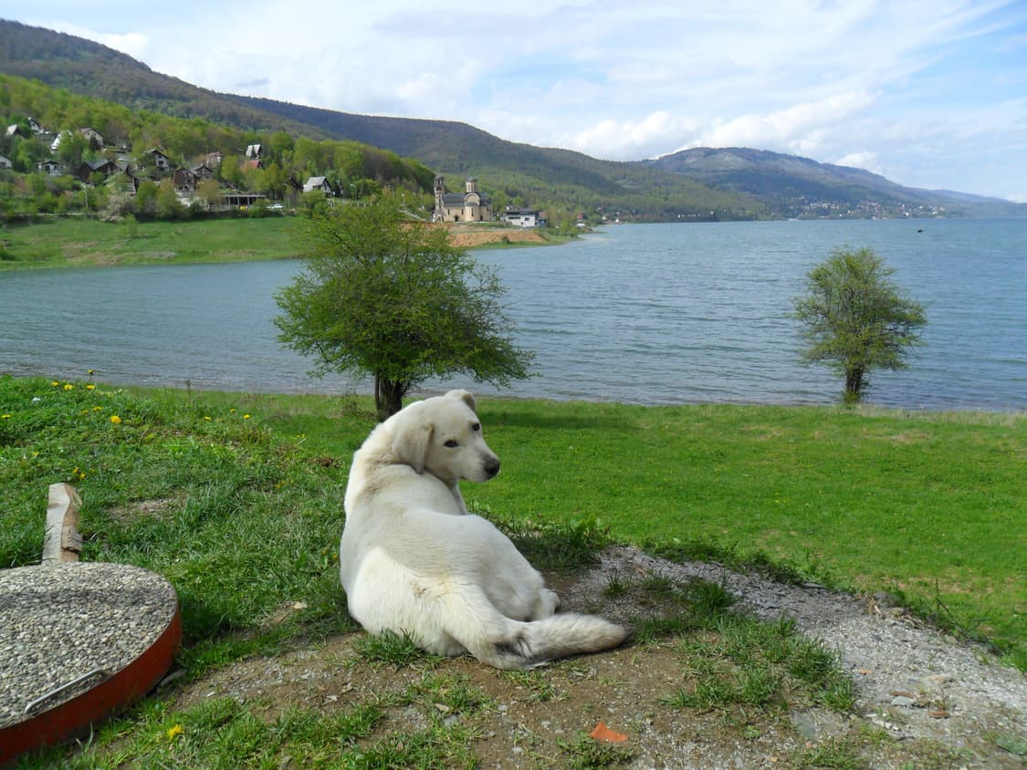 작례O 신품급 삼성 블루 vluu es28 디지털카메라 빈티지 디카 상품이미지5
