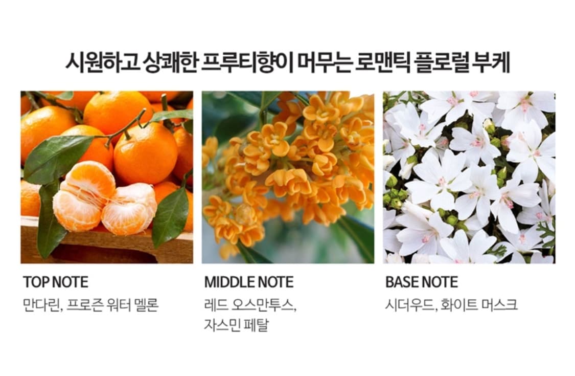 랑방 모던 프린세스 블루밍 오드뚜왈렛 90ml 상품이미지2