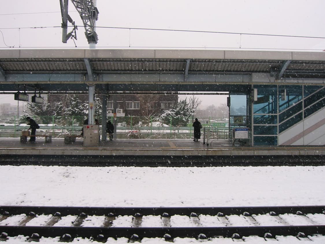 캐논 디카 익시300/익서스300 상품이미지5