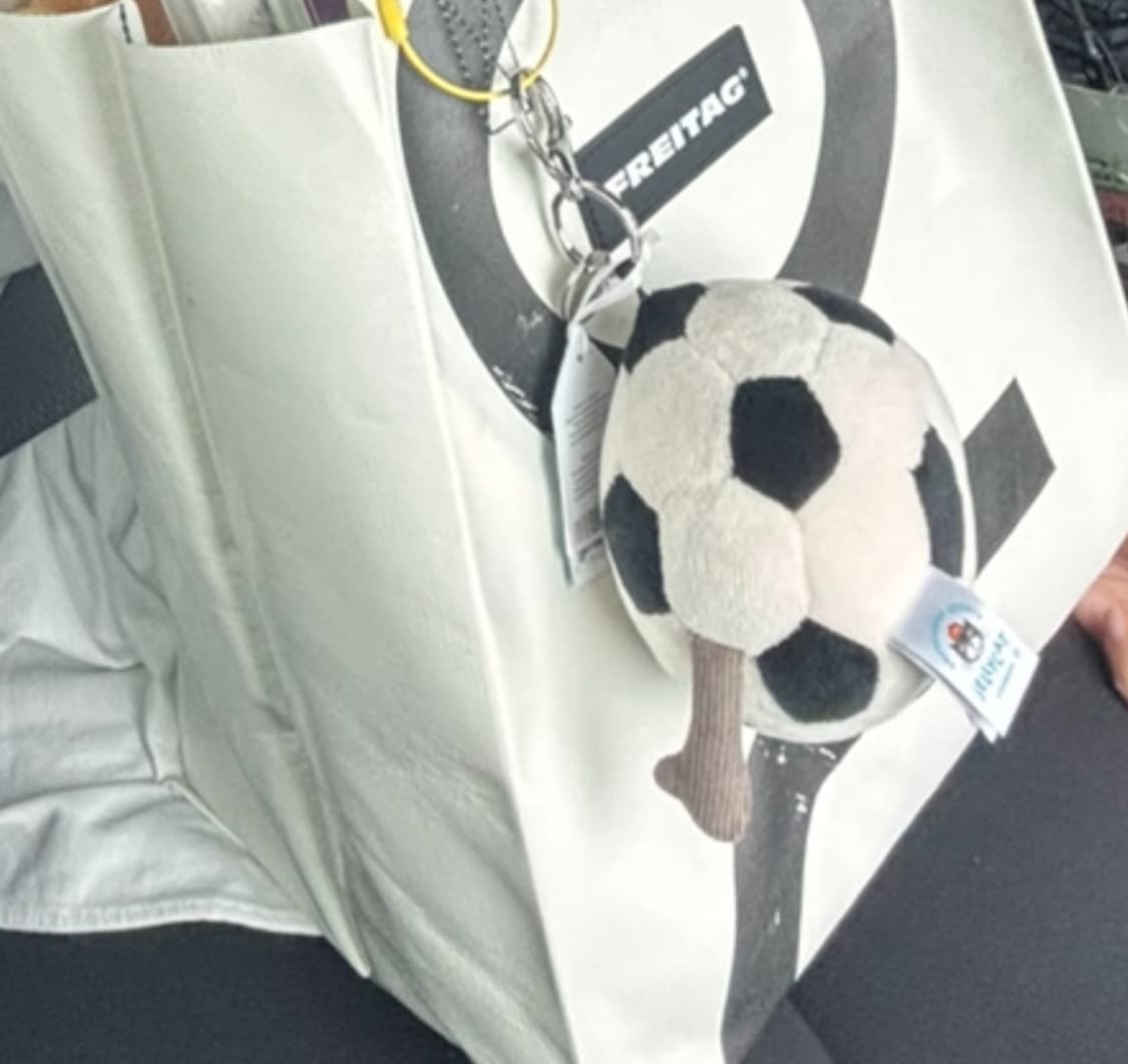 프라이탁 소니 F250  상품이미지4