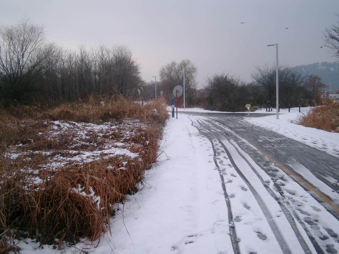 Casio exilm QV-R4 카시오 디지털카메라 상품이미지7