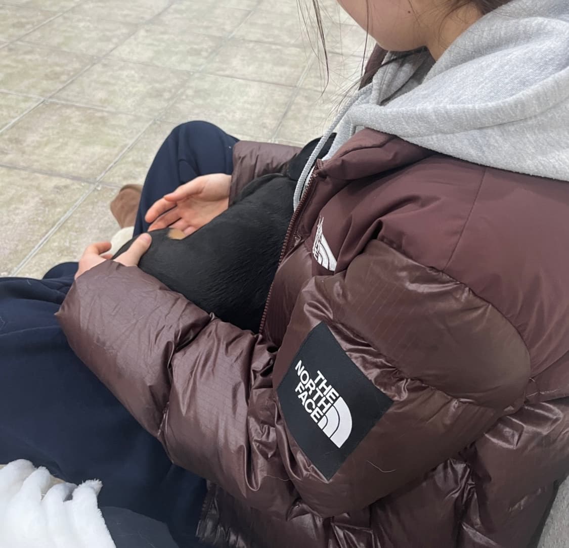 노스페이스 화이트라벨 노벨티 눕시다운 자켓 코코아 브라운 상품이미지2