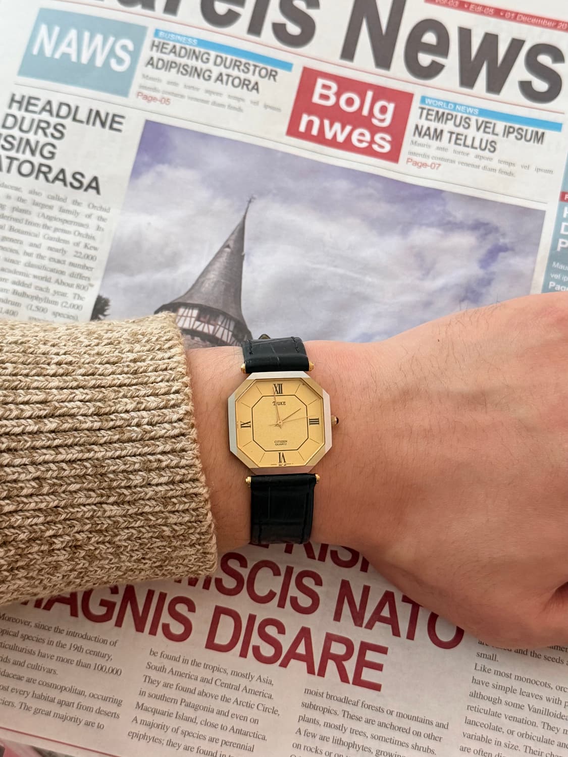 Citizen 시티즌 Duke 옥타곤 쿼츠 상품이미지5