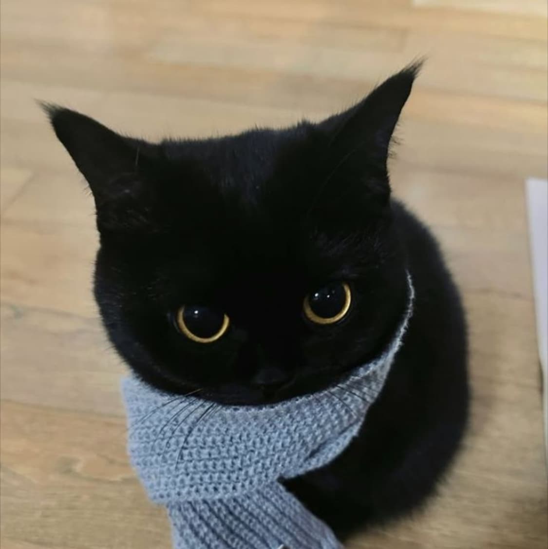 you님 안전 개인결제글  상품이미지1