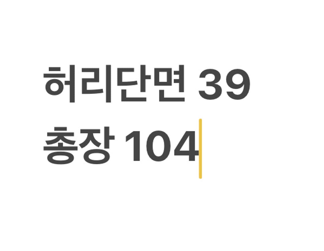 빈티지 와이드 카고팬츠 상품이미지5