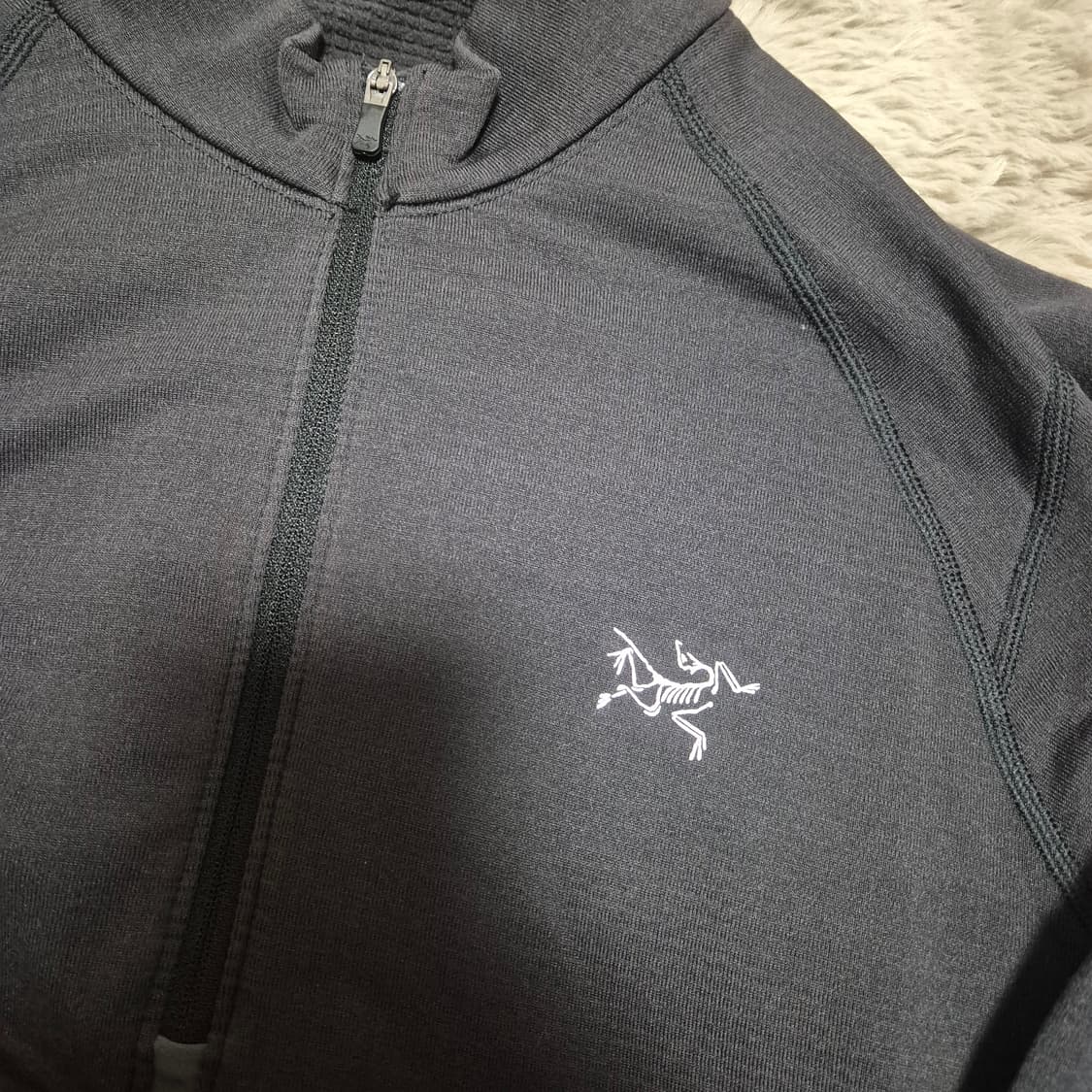 아크테릭스 폴라텍 하프집업 m(100) 상품이미지1