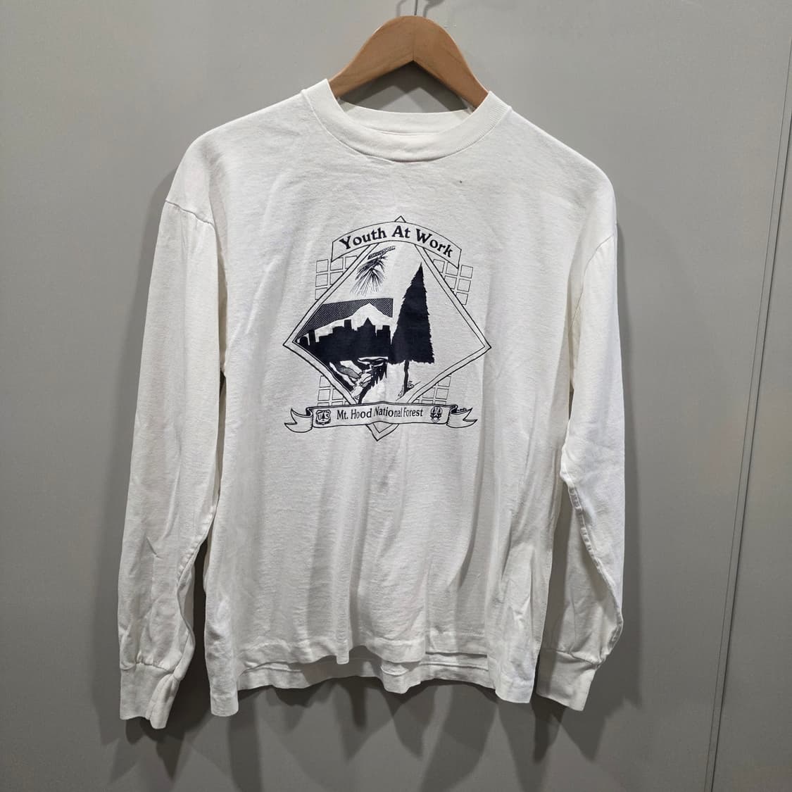 90s USA 빈티지 프룻오브더룸 긴팔티 상품이미지1