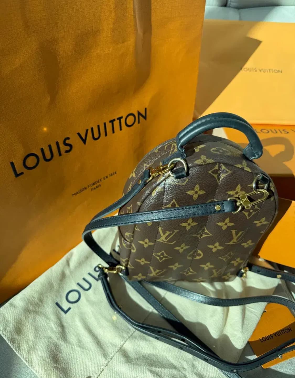 루이비통 팜스프링스 미니 백팩 상품이미지1