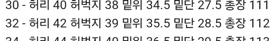 브랜디드 1701 맥스 와이드 스트레이트 32 상품이미지5