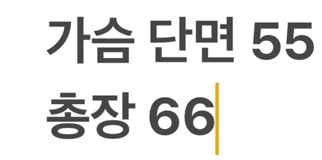 [ 정품/M ] 아크테릭스 반집업 플리스 긴팔티 b16 상품이미지8