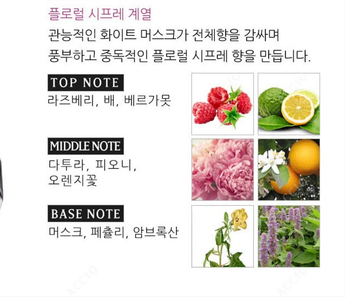 입생로랑 몽 파리 EDP 90ml 상품이미지3