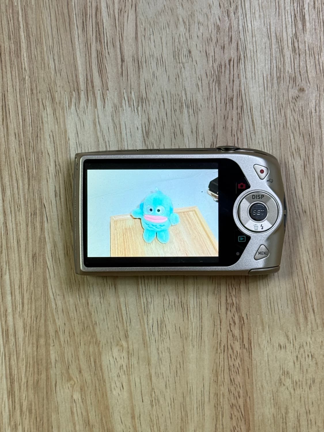 카시오 z2300 아일릿 모카, 로제 디카 엑슬림 ex - z2300 상품이미지4