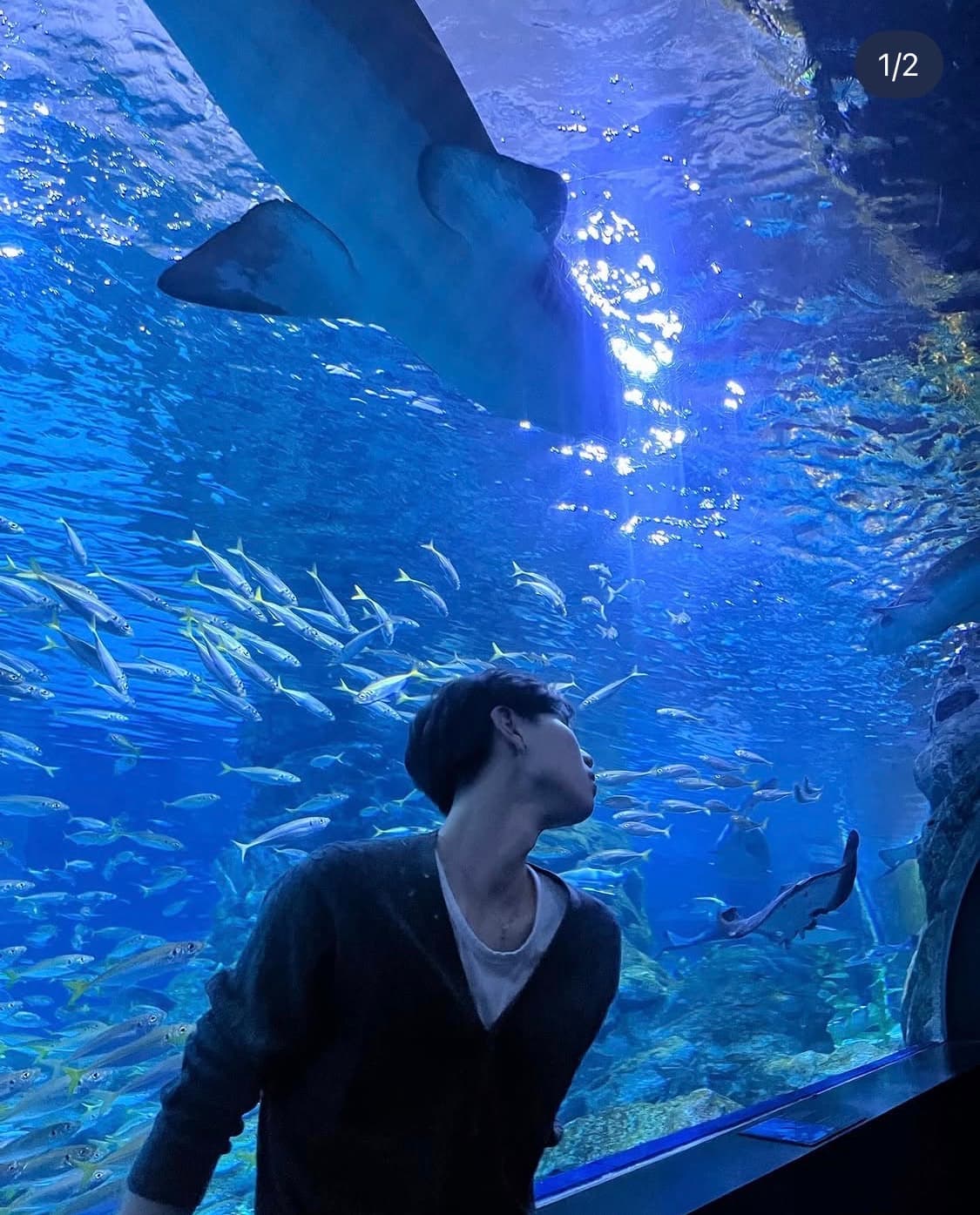 보세 가디건 상품이미지1