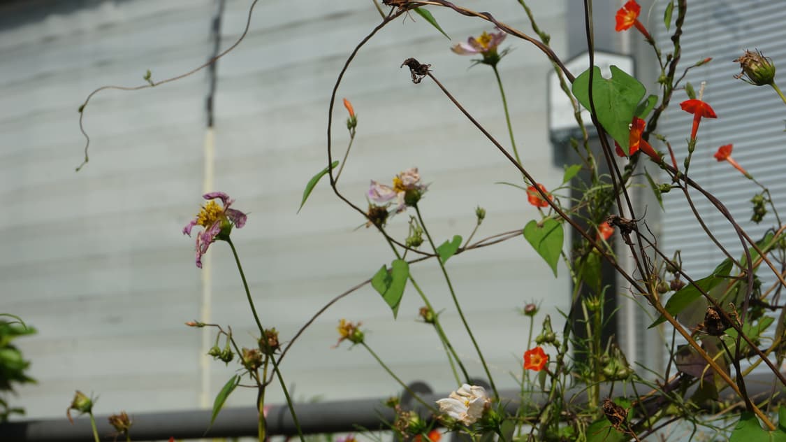 디지털 카메라 일괄 상품이미지7