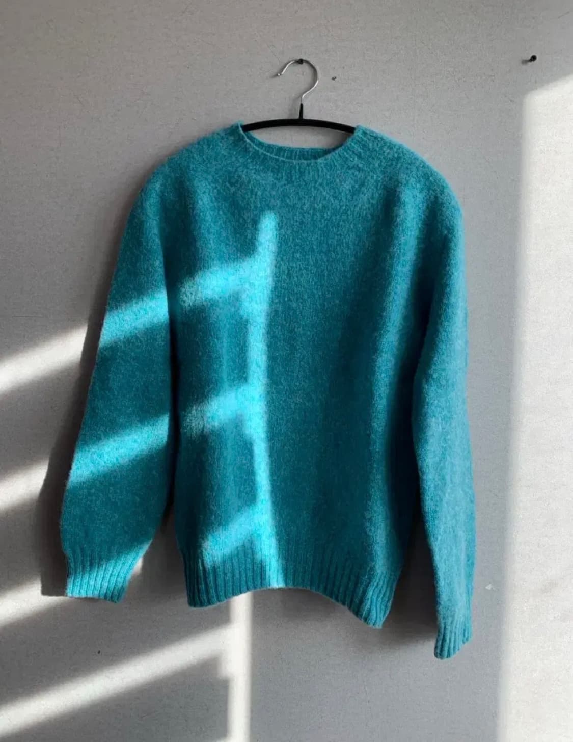 할리오브스코틀랜드 쉐기독 xs 상품이미지1