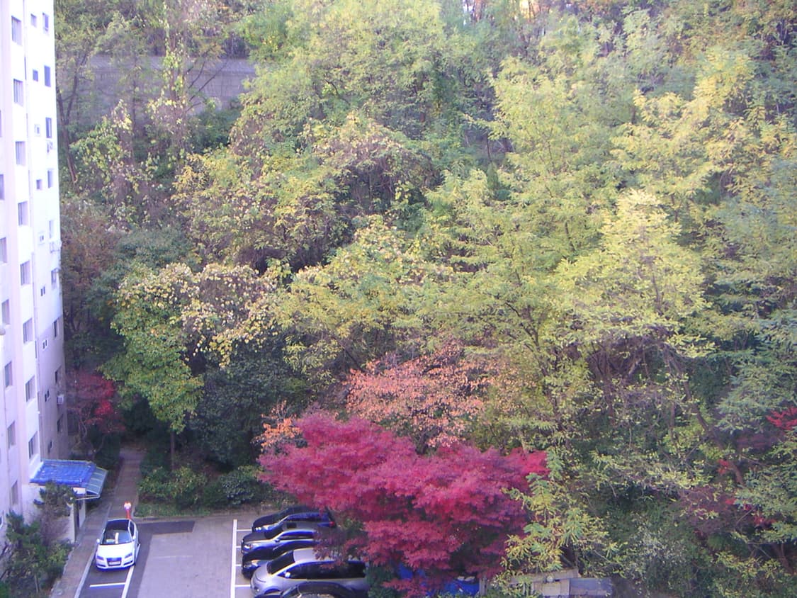 네모디카📸Minolta DiMAGE X20 💛 빈티지 감성✨ 상품이미지4