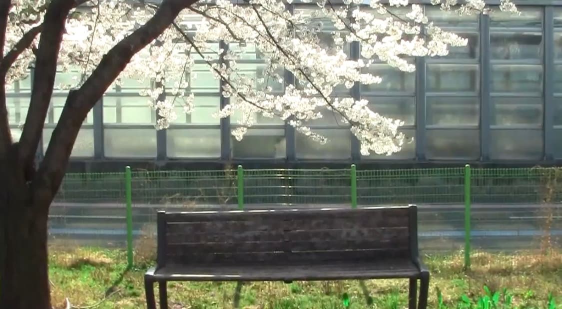 캐논 Canon ivis HF R10 캠코더 (작례포함) 상품이미지3