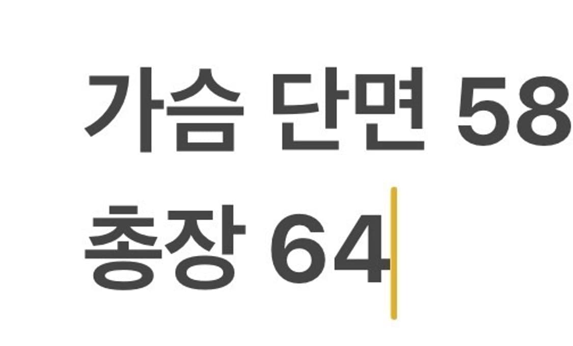 [정품/L] 챔피온 블랙 바시티 자켓 b17 상품이미지7