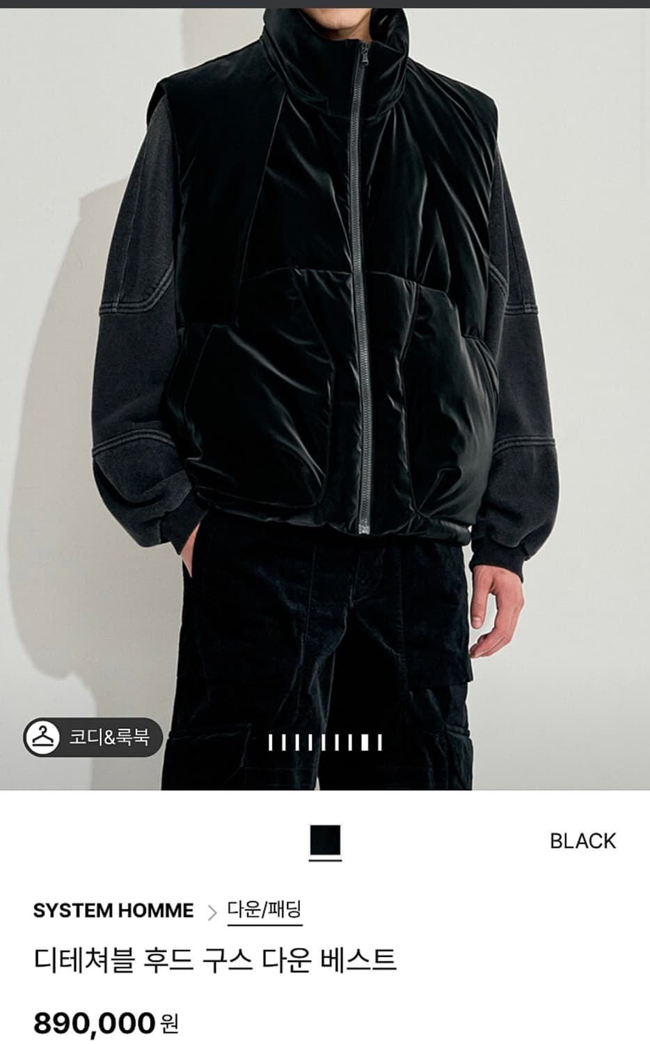 시스템옴므 / 디테쳐블 후드 구스 다운 베스트 / 105 상품이미지3