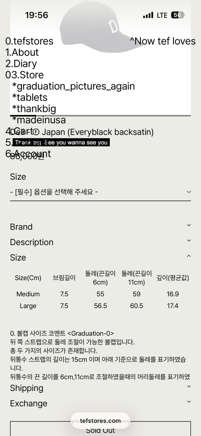 테프스토어즈 tefstores 모자 상품이미지4