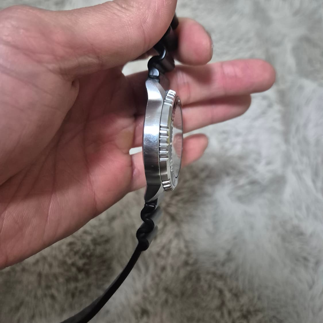 시티즌 프로마스터 에코드라이브(미니복어교환) 상품이미지4