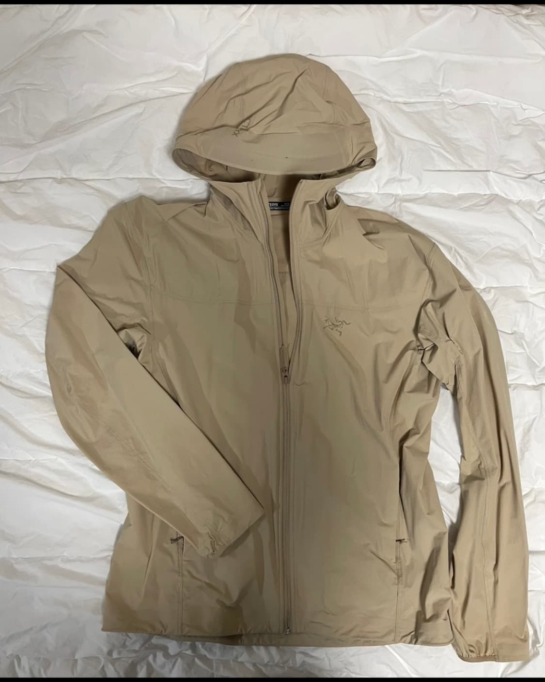 아크테릭스 감마 라이트웨이트 후디 M 상품이미지1