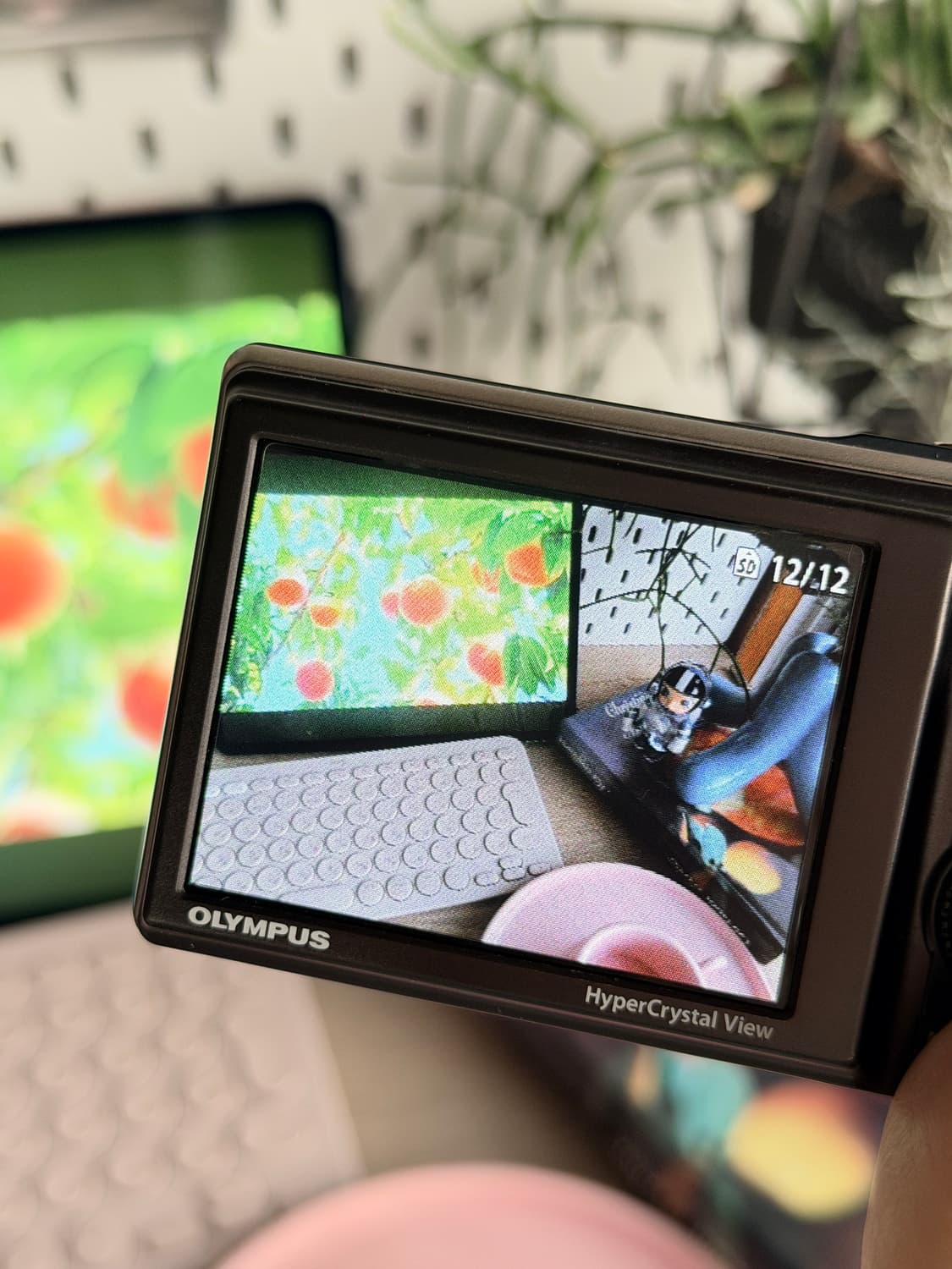 ✨하투하 유하픽 형제모델/풀박스✨올림푸스 뮤9010 빈티지디카 상품이미지10