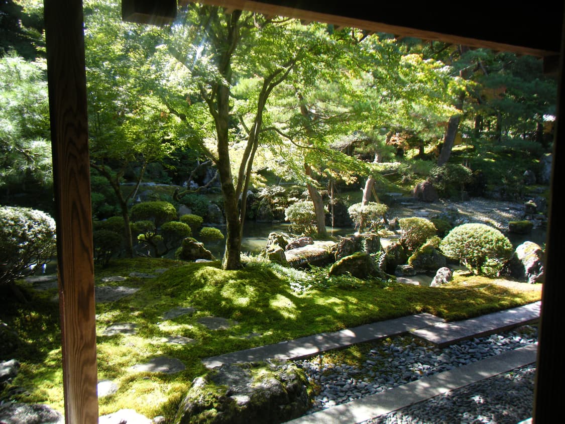 급전!!)) 후지필름 파인픽스 z250fd  팝니다. 상품이미지8