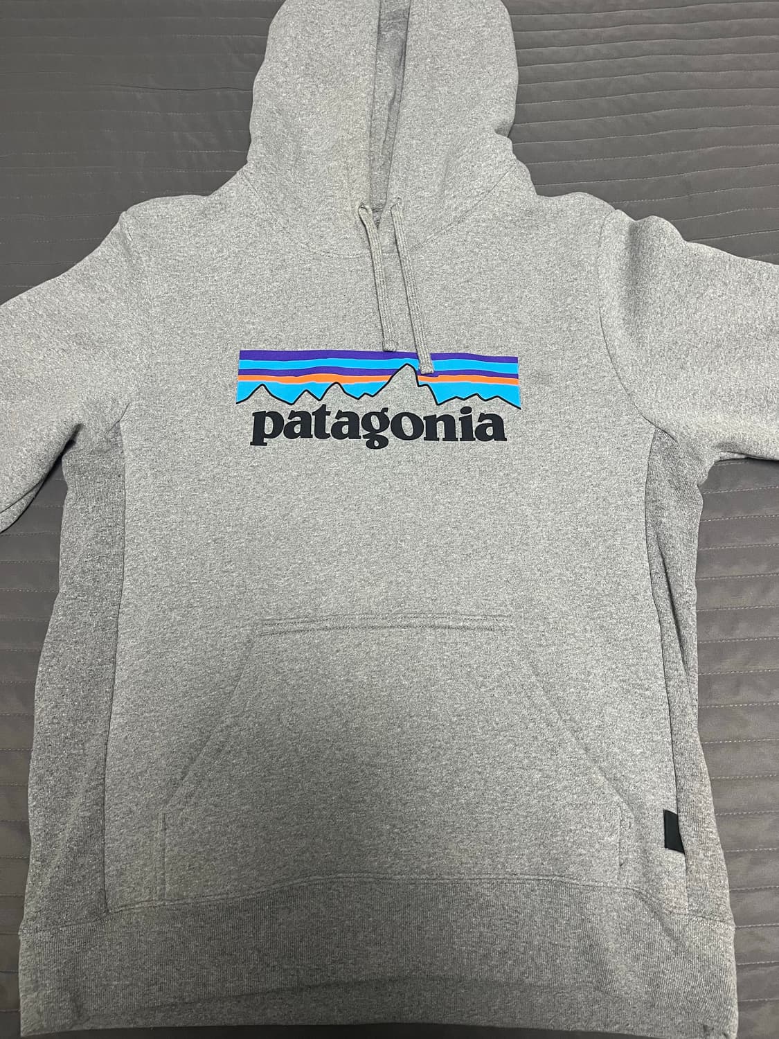 파타고니아 그레이 후드티 상품이미지1