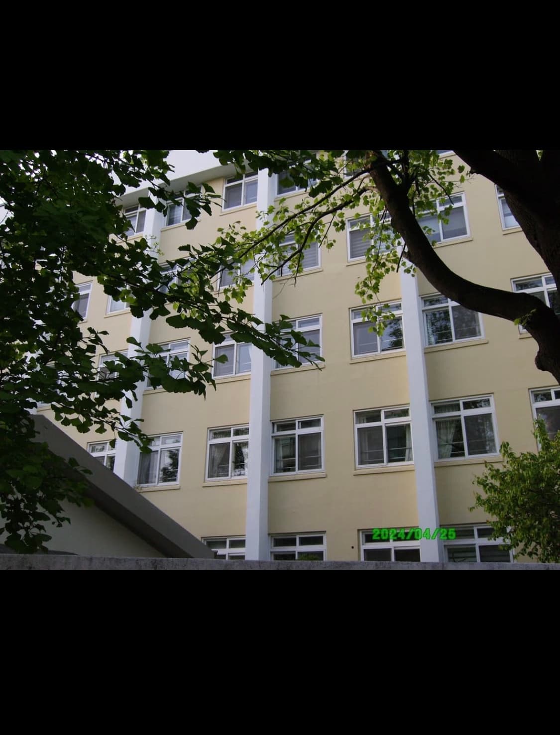 비비타 t324n 디지털카메라 상품이미지8