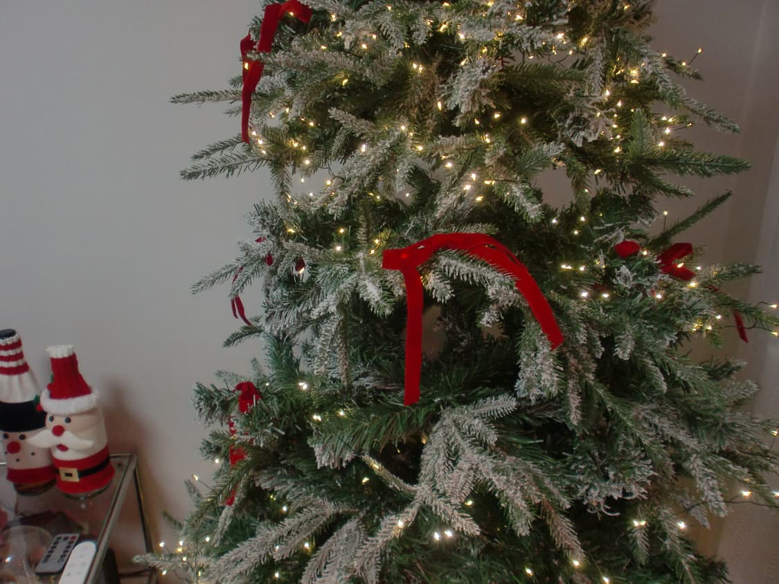 (작례o, 실버) 카시오 Casio z550 차정원디카 상품이미지3