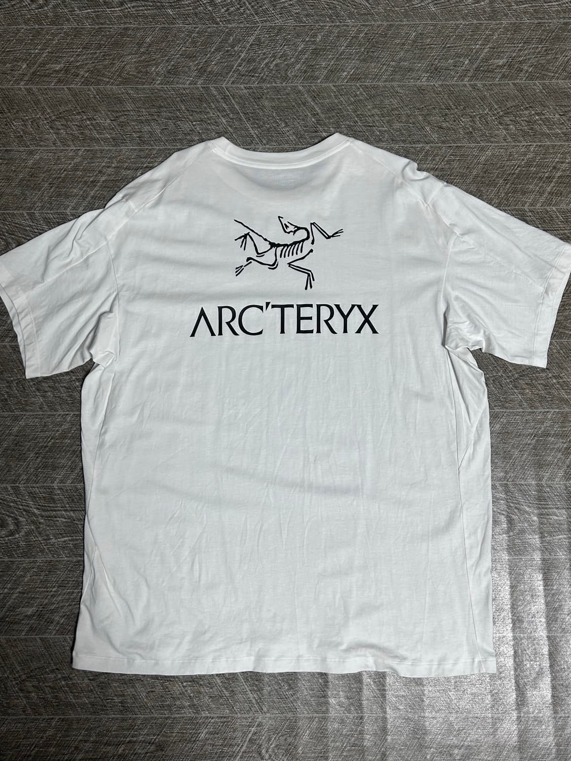 아크테릭스 상품이미지2