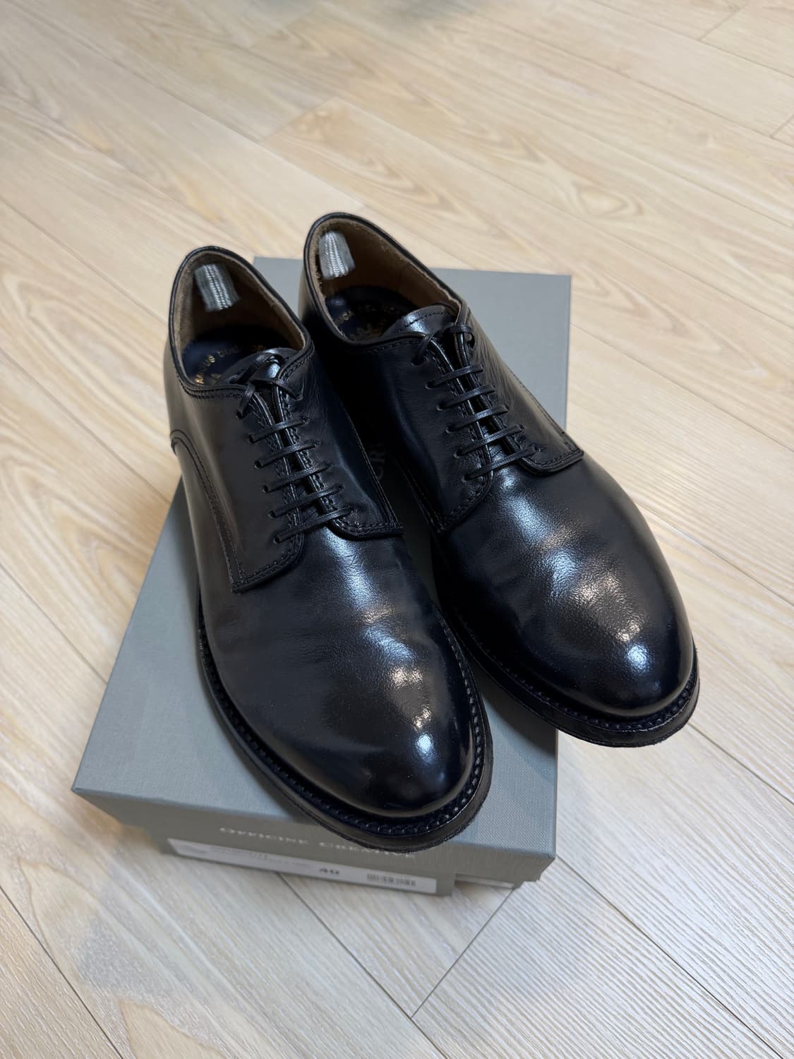 [40] 오피치네 크레아티베 아나토미아012 상품이미지2