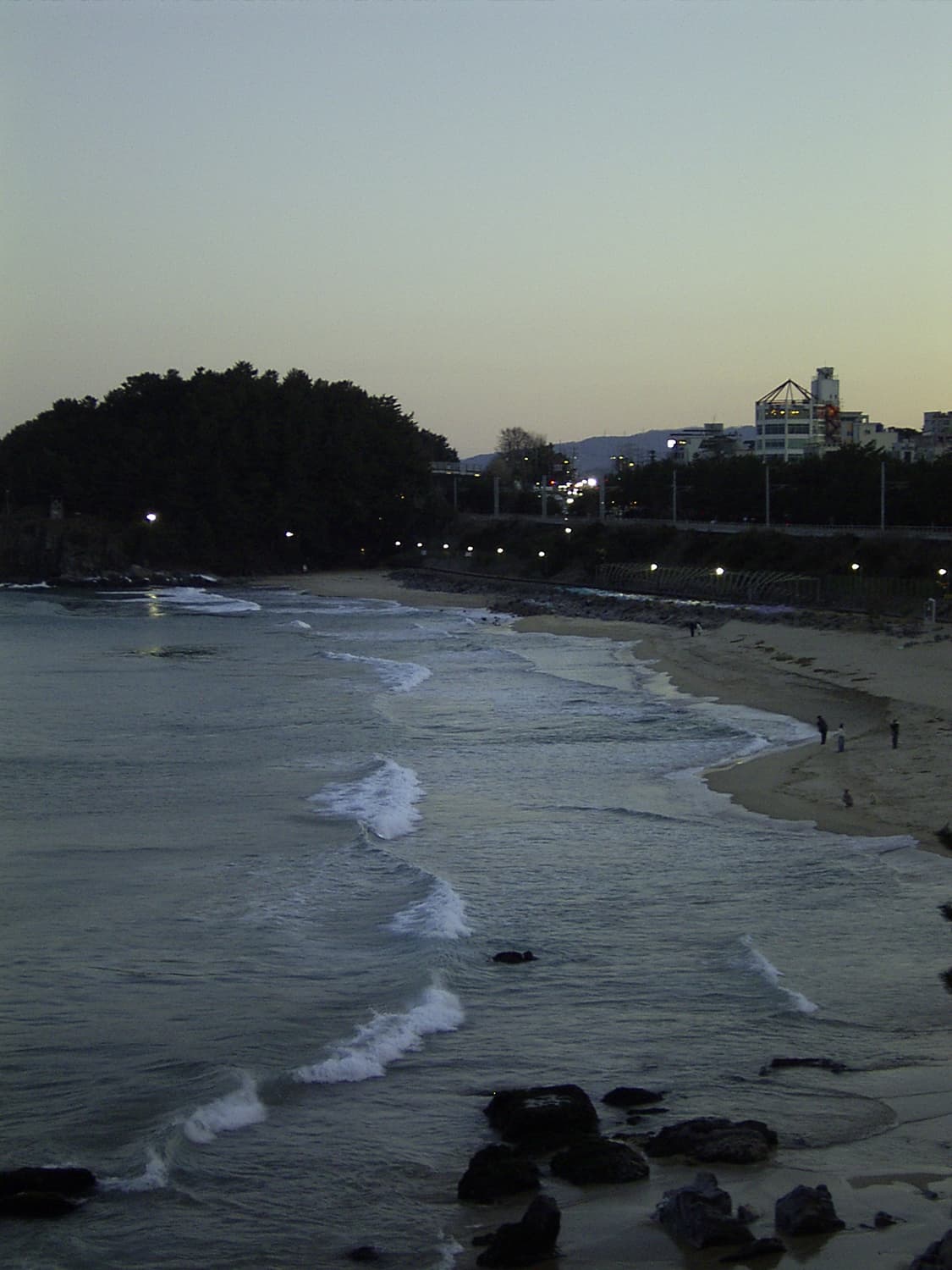 리코 카프리오 pro g3 상품이미지5