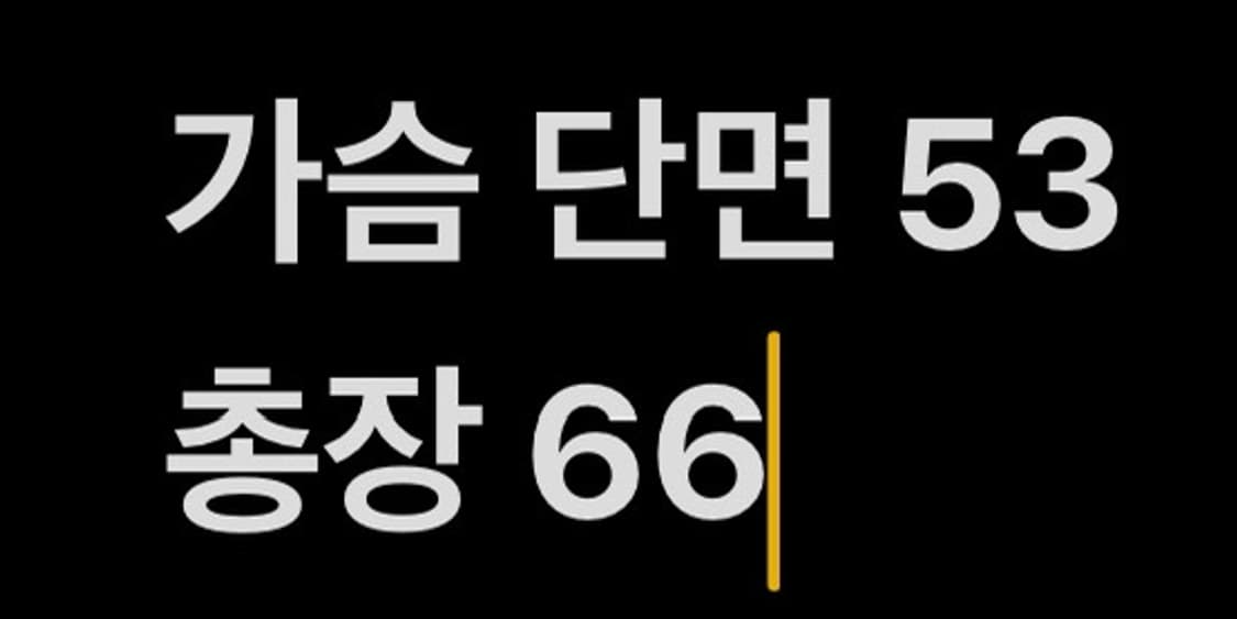 [ 정품/100 ] 아디다스 카이사르 울프 트랙탑 져지 b10 상품이미지9