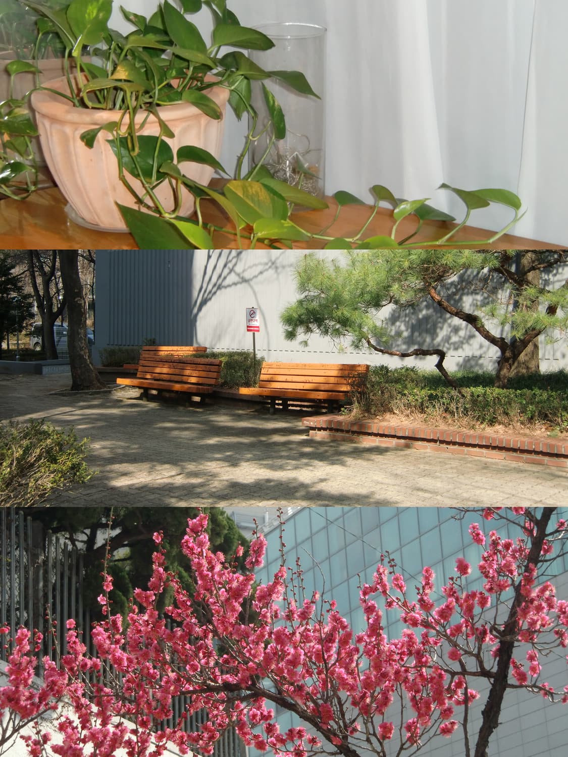 [작례 O] 카시오 엑슬림 EX-H10 상품이미지5