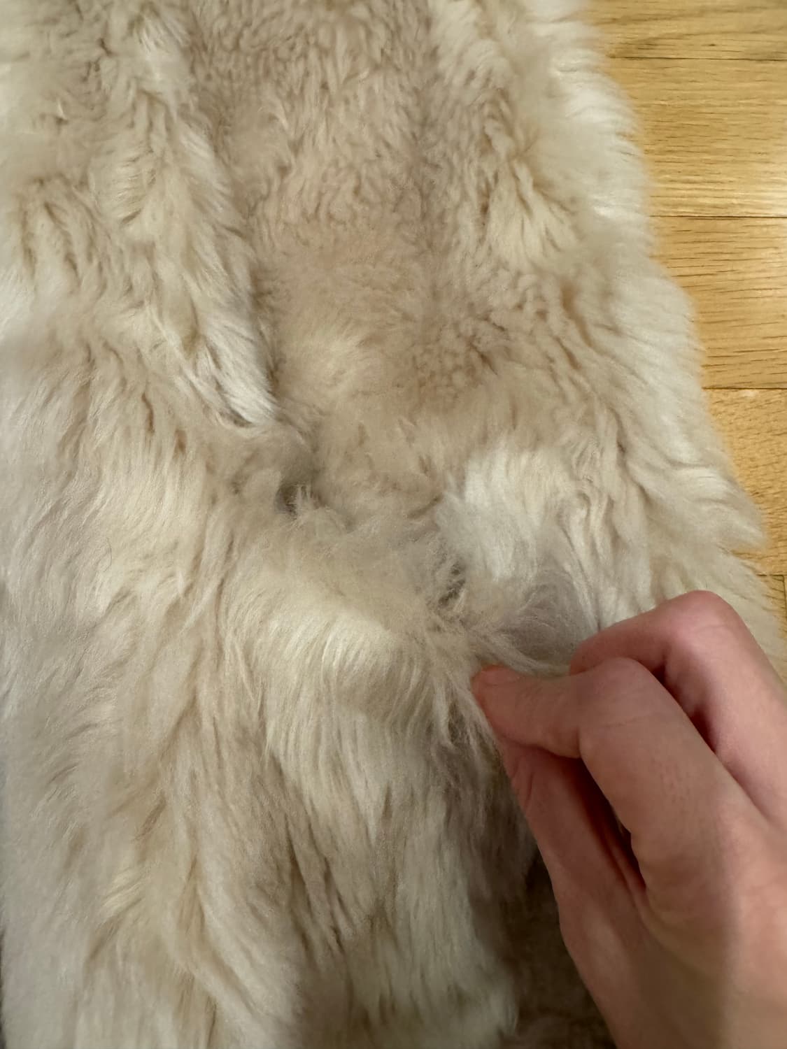 마르니 리버시블 무스탕 베스트 상품이미지3