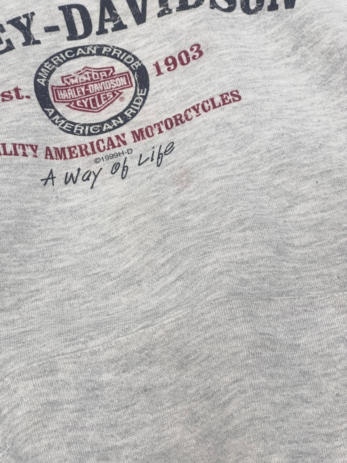 90‘s LEE USA BODY 할리데이비슨 후디  상품이미지9