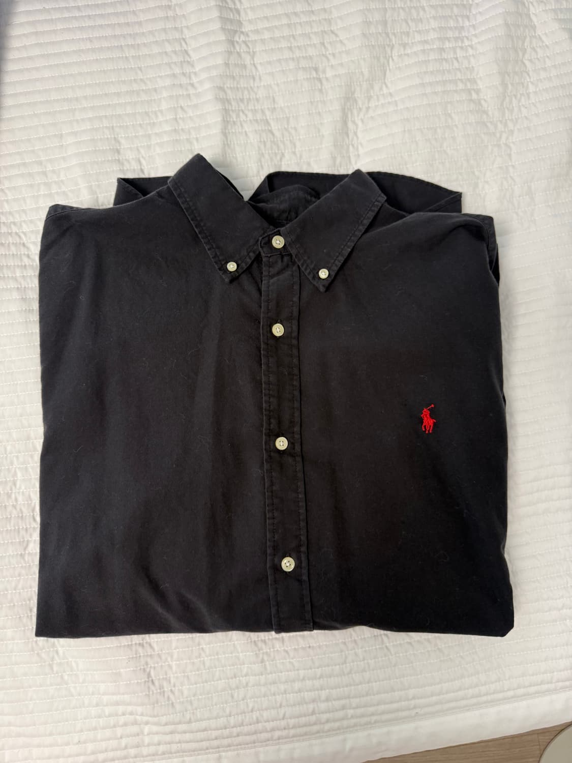 폴로 셔츠 xxl 상품이미지1