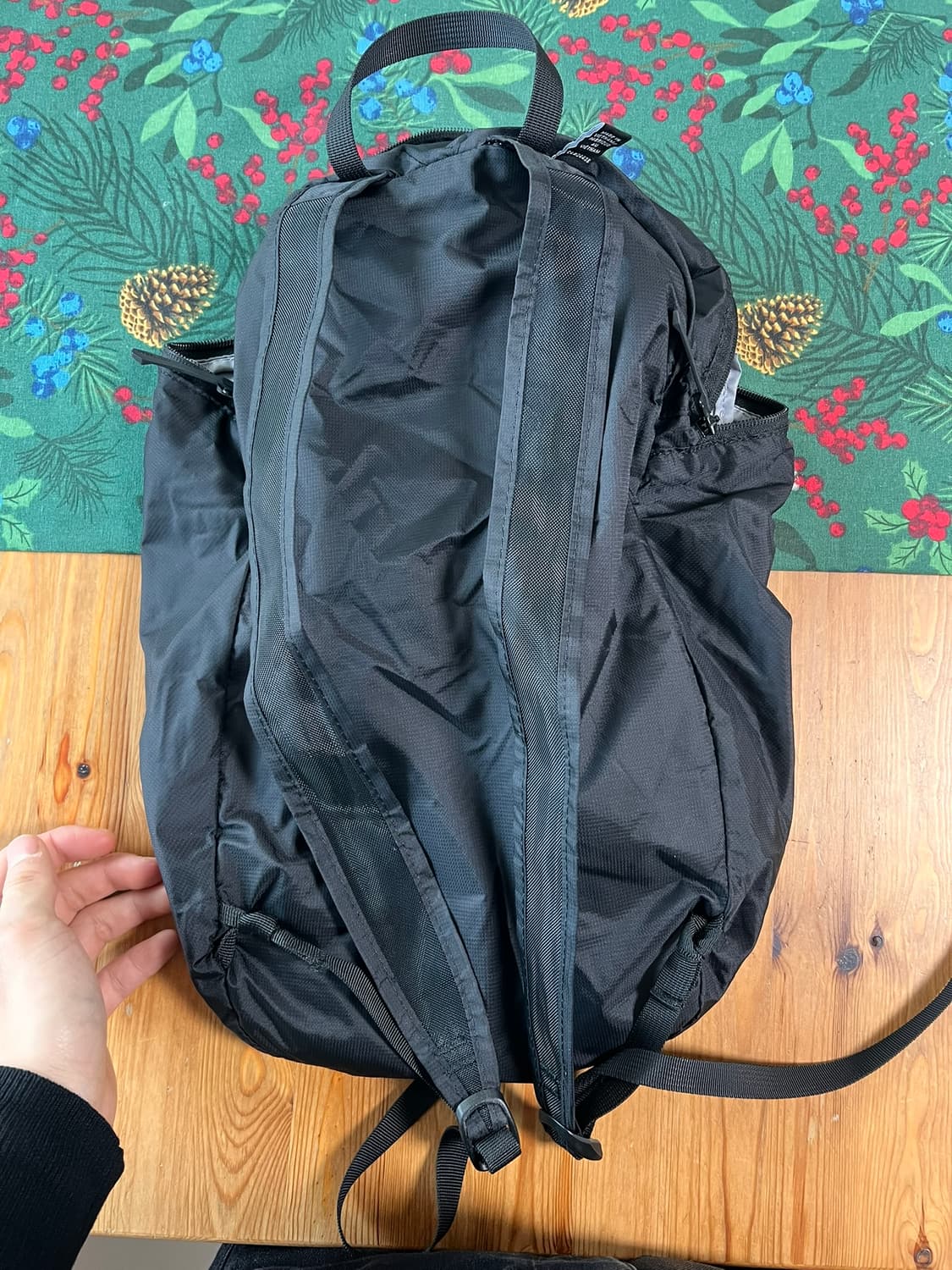 아크테릭스 헬리아드 15 백팩 블랙 상품이미지5