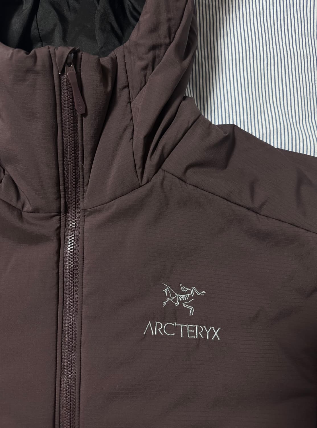 아크테릭스 아톰 AR 후디 피그먼트  상품이미지5