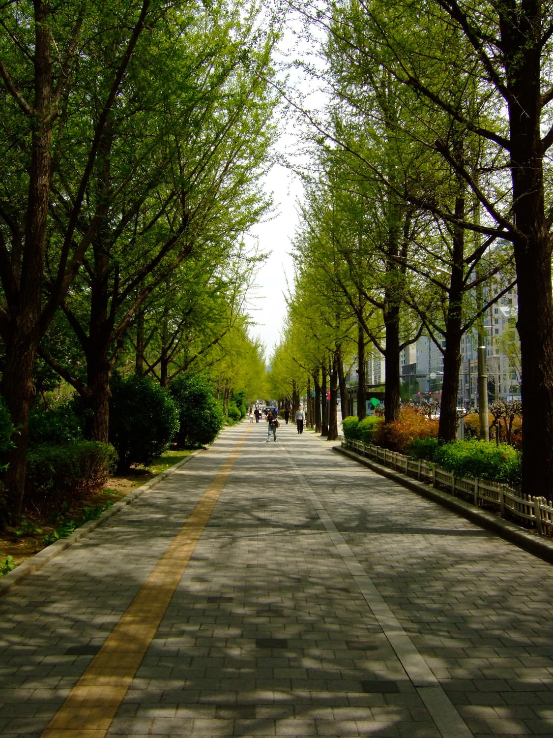 [미품 풀박스] 후지필름 파인픽스 F30 상품이미지6