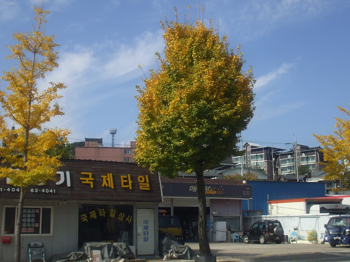 (작례o) 캐논 디카 파워샷 A480 상품이미지5